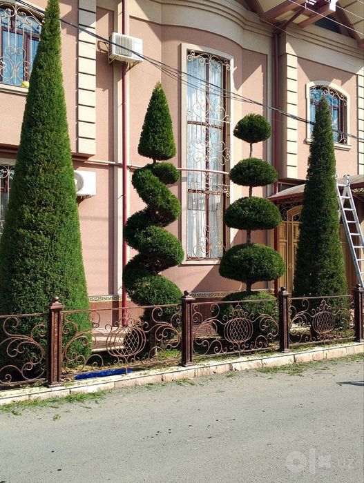 Арча кесиш дорилаш