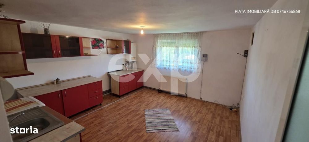 Vila Individuala Imensa + Casa de Oaspeti si Garaj Dublu | Teren 1.00
