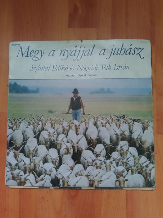 Vinil disc ungurești