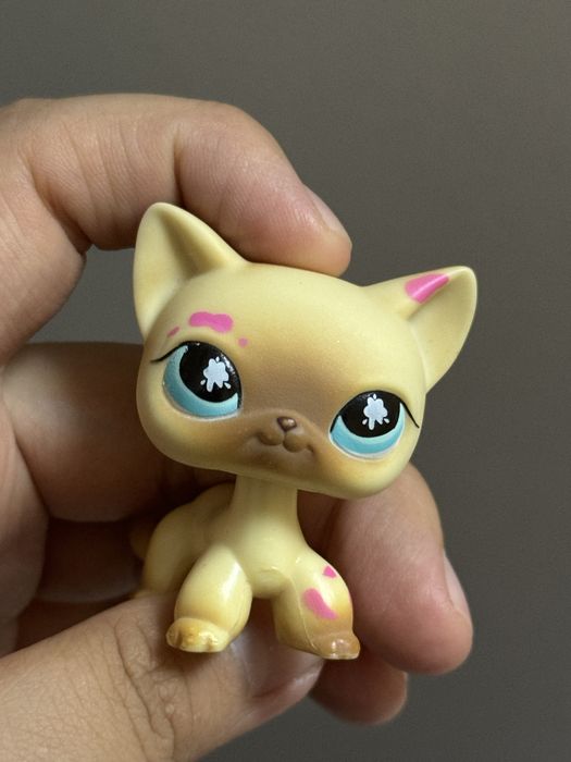 ЛПС / LPS стоячка кошка