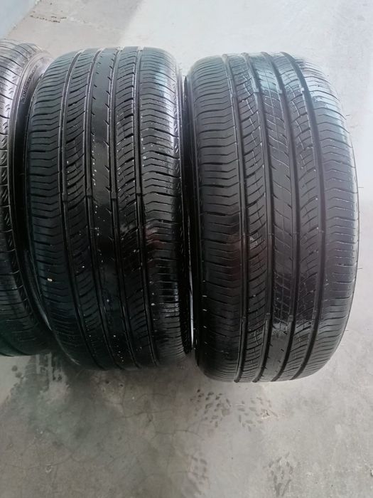 Продам ризину лето 3 болона