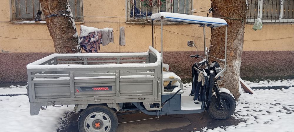 JINBO 2023 temir bortligi gibrid