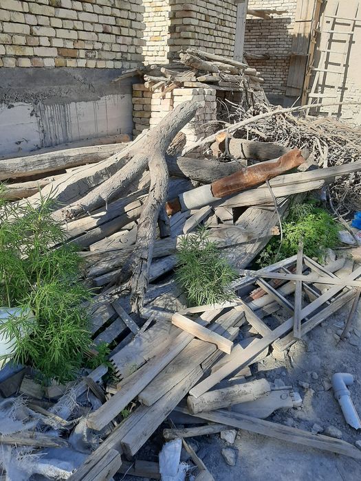 Arzon Ötinlar sotiladi.