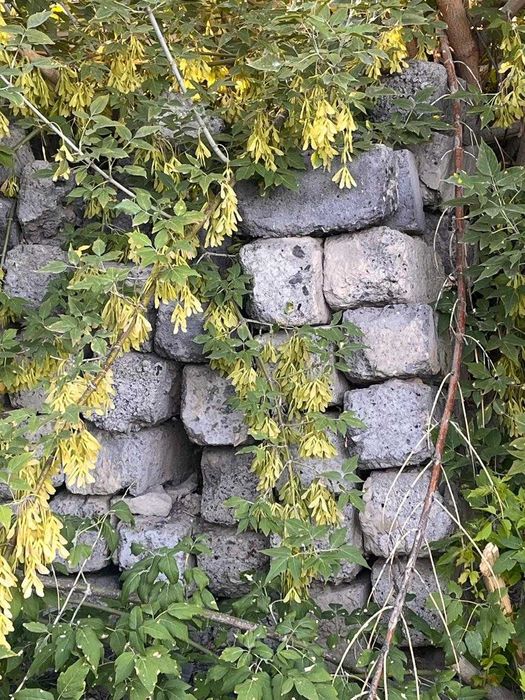 Шлакоблок советский