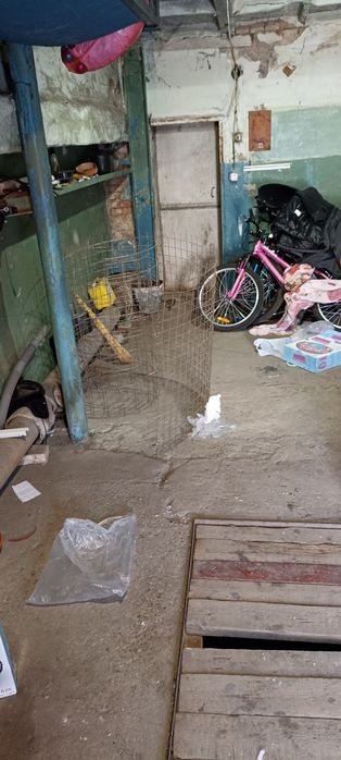 Гараж 4 общество