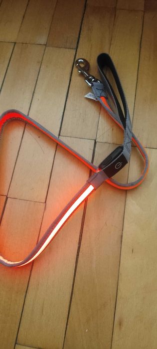 LED повод (каишка) за кучета-Italy.