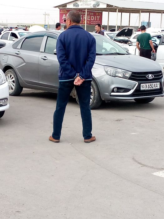 Лада мошина сини