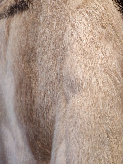 Haina de  blana naturala de nutrie + căciulă nutrie