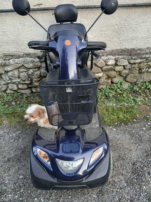scuter electric carucior electric dizabilitati handicap batrani