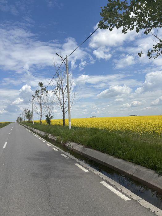 Teren intravilan/extravilan 20.000 mp situat la DC87 Pielesti, zona Peugeot
