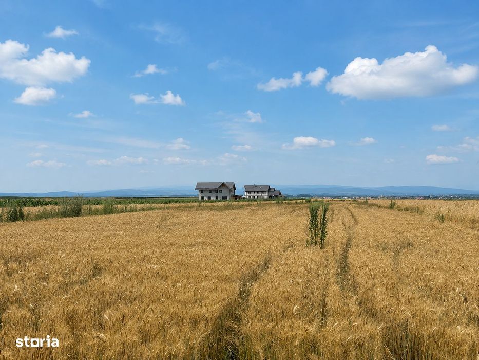 Teren 5.000 mp – Tărlungeni, zona Cărpiniș | Investiție cu potential!