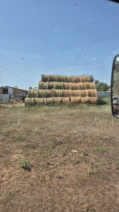 Продам степное сено.