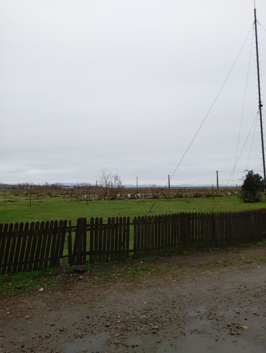 Vând teren 3,99 ha -Udati Manzu ,com Smeeni ,jud Buzău .