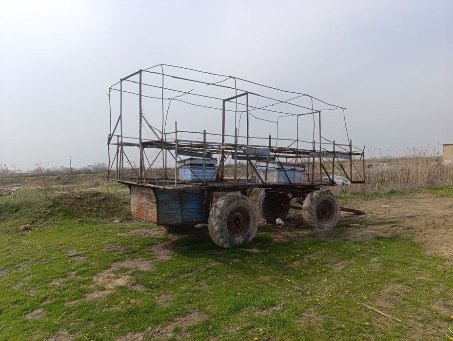 Асалари павилёни