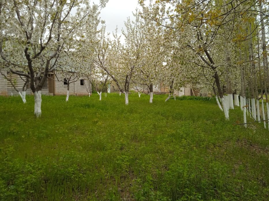 Продается земельный участок,для Дачи самое то.