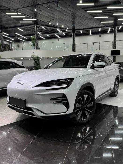 byd champion smart