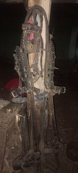 Vând Ham + căpăstru în stare foarte buna