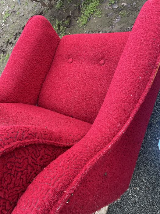 Фитьоли 2 броя подаряват се