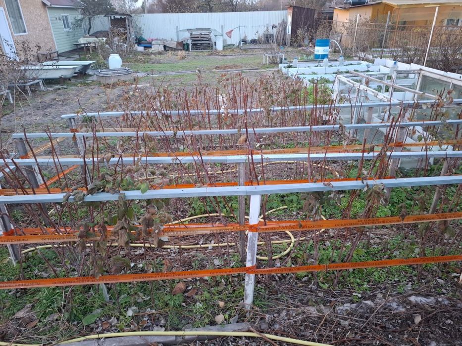 Продам дачу веснянка, (Астра)