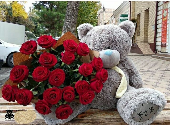 Teddy Teddi Yangi yilga ajoyib orginal sovg'alar