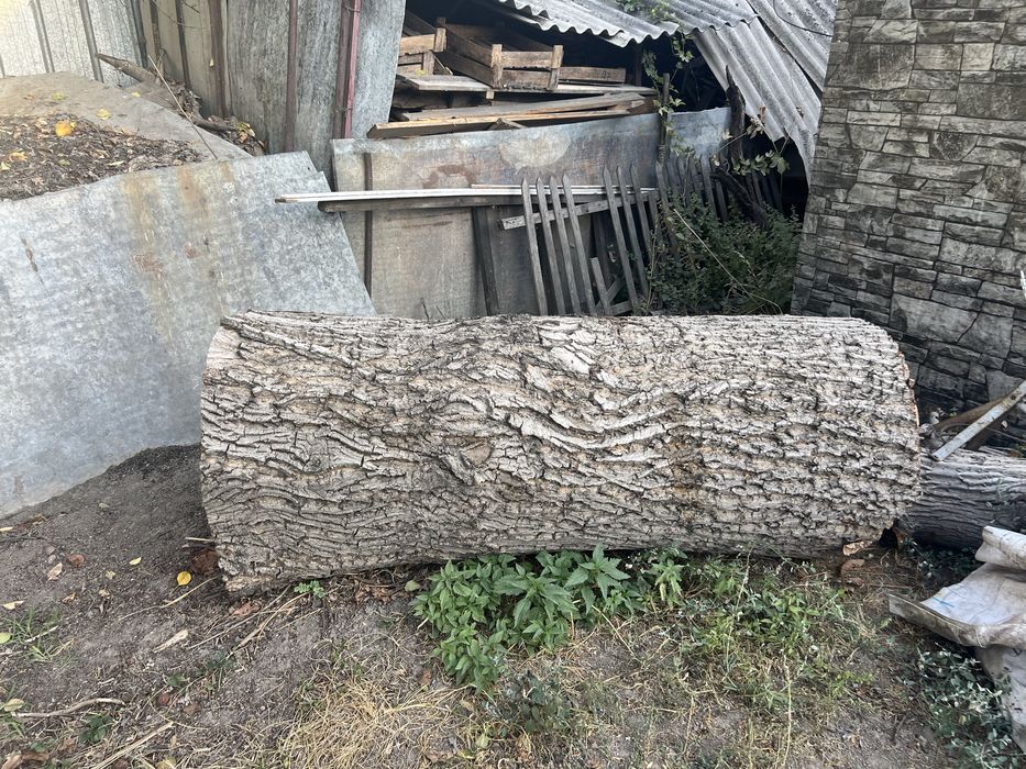 Продам полено для столешницы орех