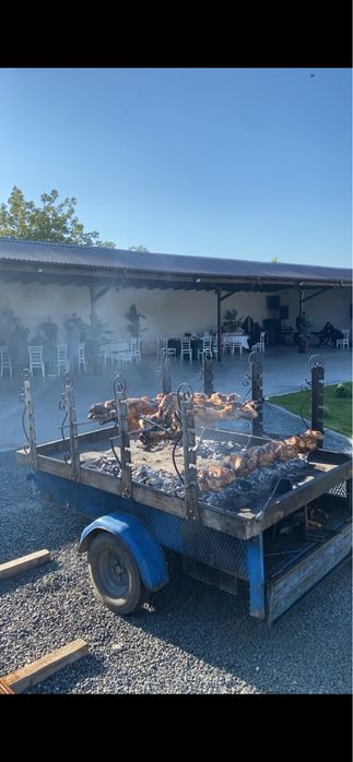 Vand Remorca PROTAP omologata