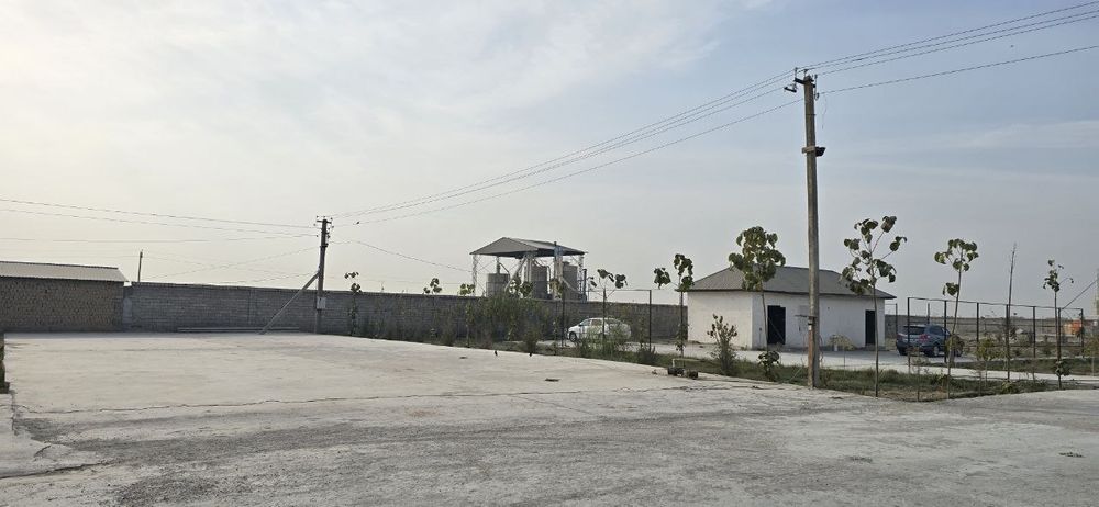 Sirdaryo shahar Sholikorda 2 gektar noturar sotiladi