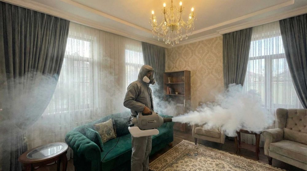 Дезинфекция тараканов Уничтожение клопов и блох. Дезинсекция Обработка