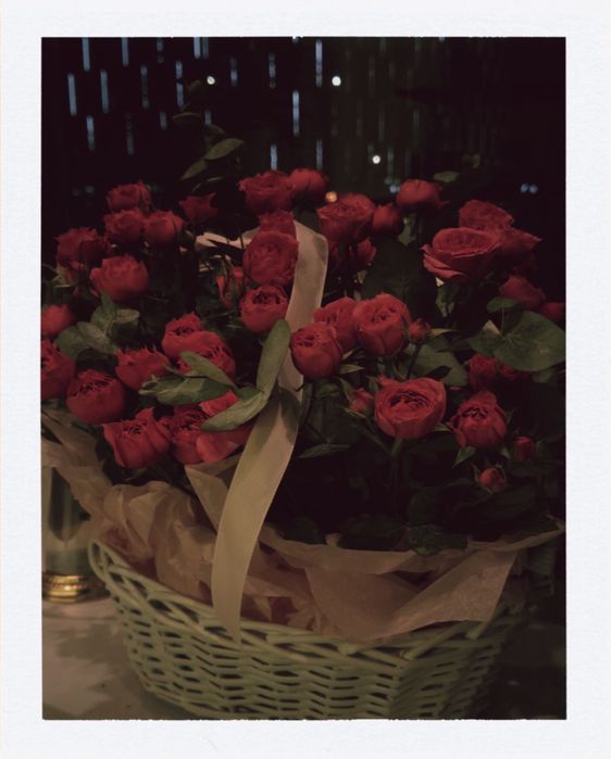 Продаю цветы, кустовые розы