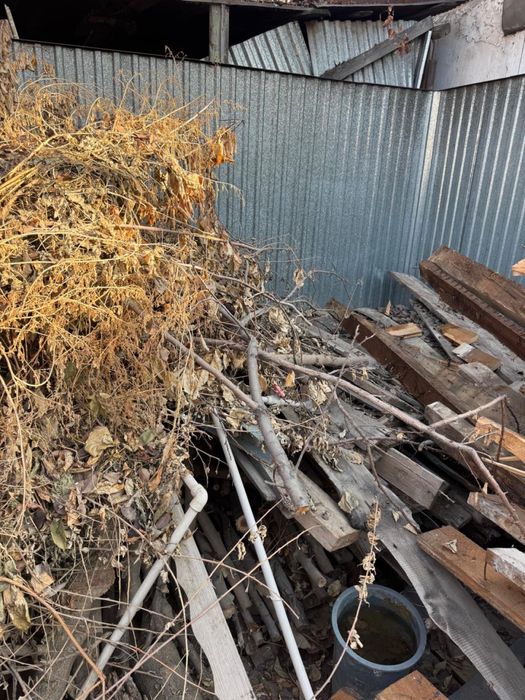 Бесплатно отдам даром