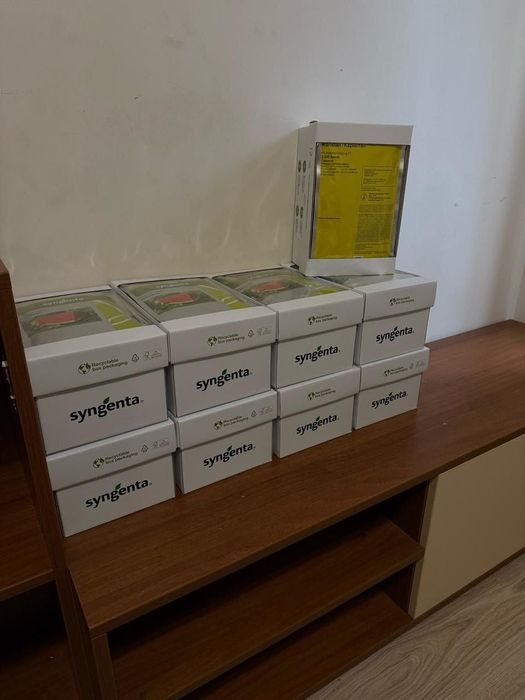 Семена за дини сорт Каристан F1 - Syngenta - 2500 в опаковка