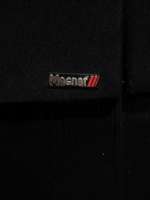 Boxe Magnat de podea + unitate audio – ok pentru uz normal