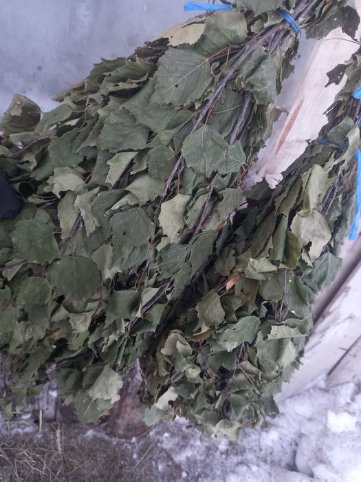 Продам банные веники