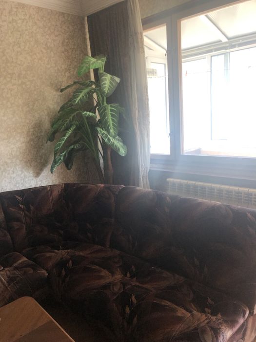 Жилище в Лозенец под наем