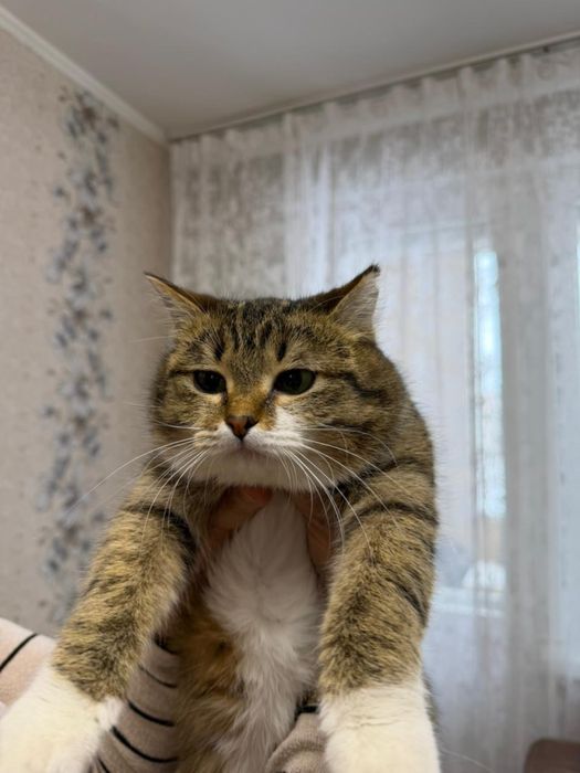 Отда мошку в хорошие руки.