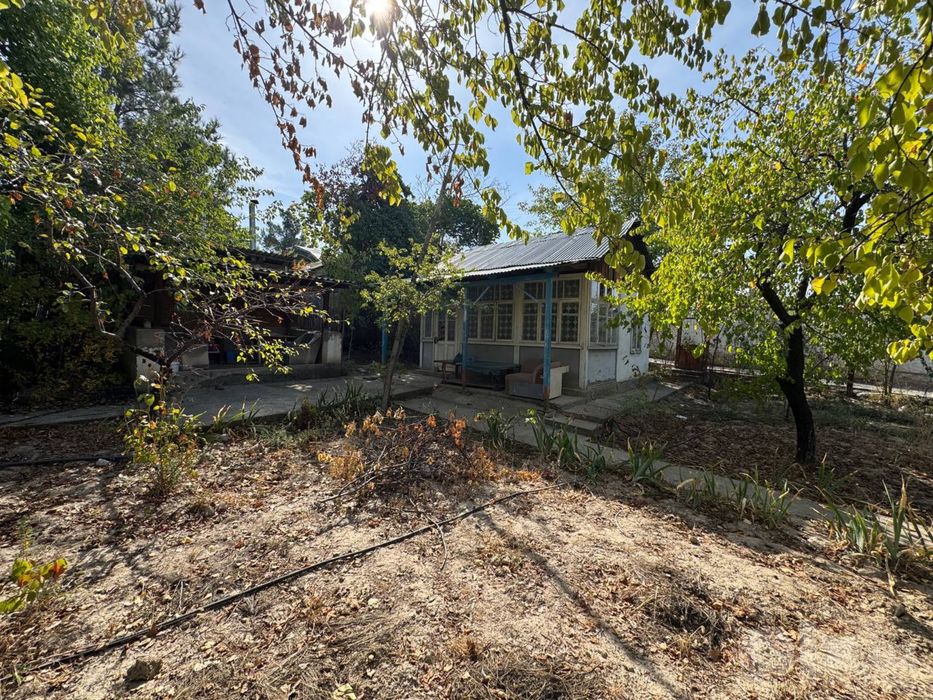 Bogʻi shamol DACHA sotiladi!!!