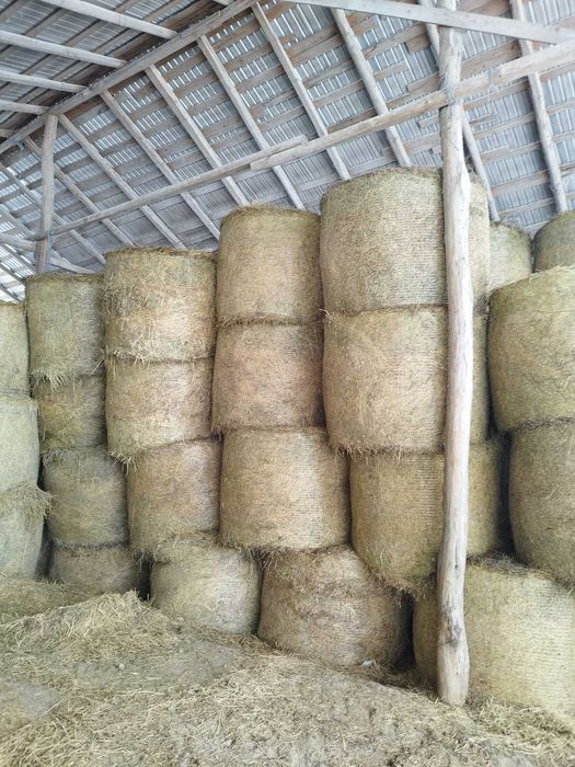 Vând baloți lucernă și lucernă cu fân