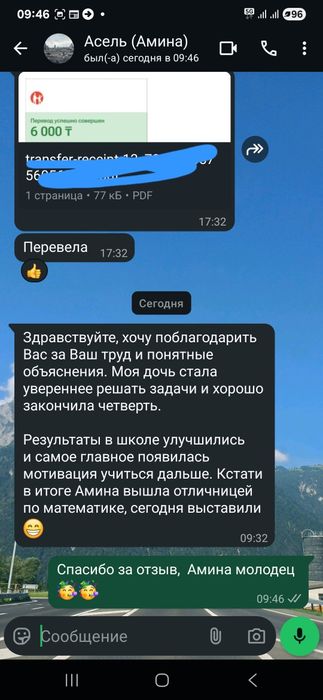 Репетитор по школьной программе