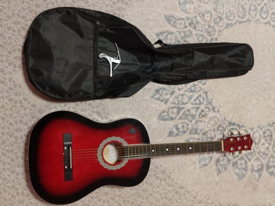 Гитара Agnetha APG-E110