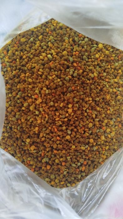 Polen albine de vânzare