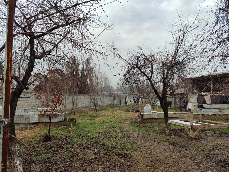 Chinoz tumani Isloxot MFY da xovli sotiladi.Narxi kelishiladi