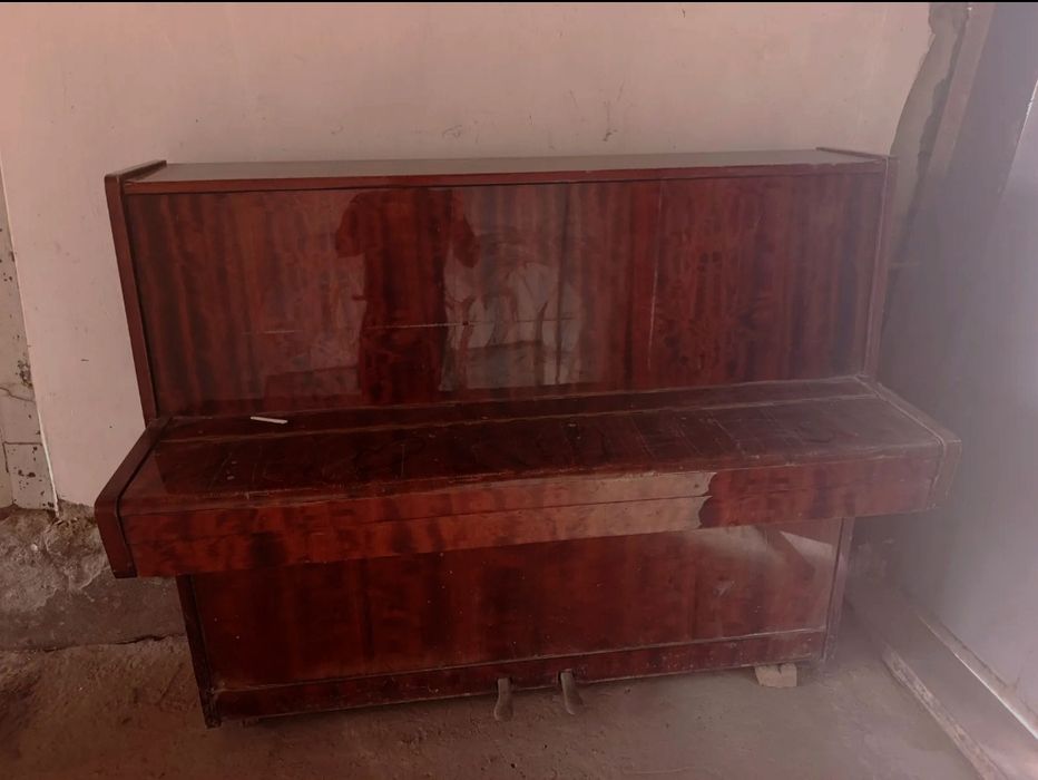 Piyanina cccr belarus