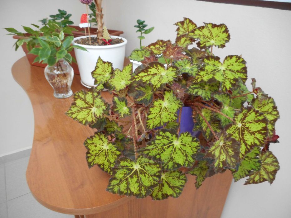 Nikon Coolpix S3600 20.1 МРх