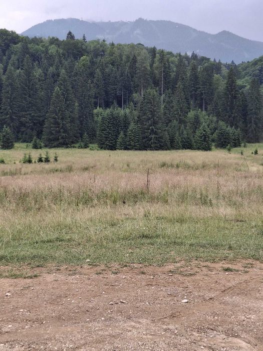 Vand sau schimb teren intravilan Poiana Brasov, str Stanii nr 37