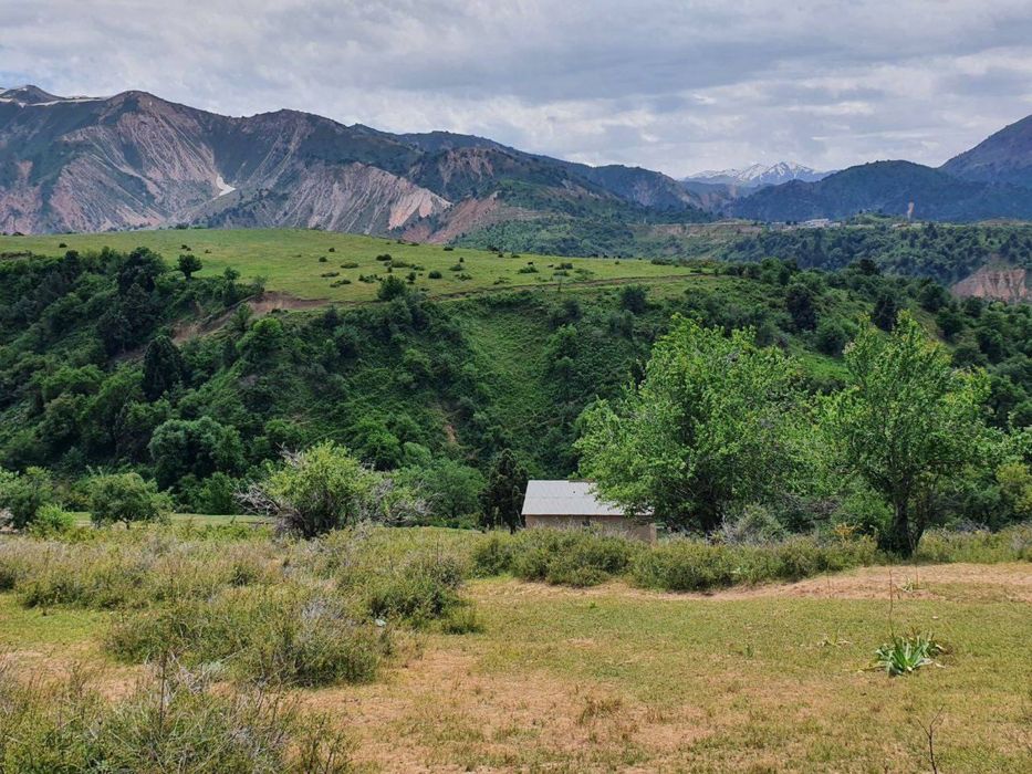 СРОЧНО! Продаётся уникальный земельный участок в горах Чимгана!