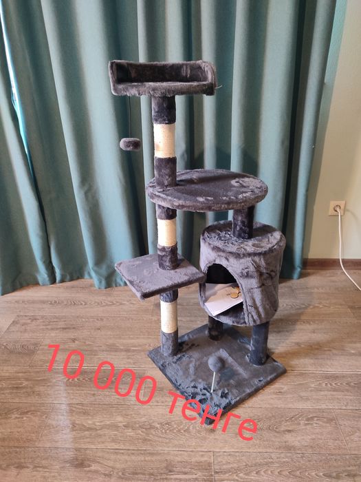 Кошкин домик. Новое