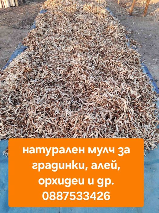 Къщички за кучета