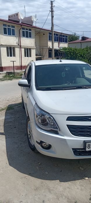 Cobult 2024 toza prapanda 40000 yurgan