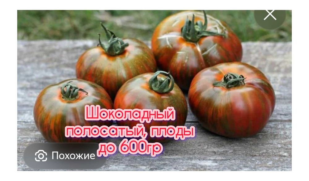Продам рассаду капусты и помидор