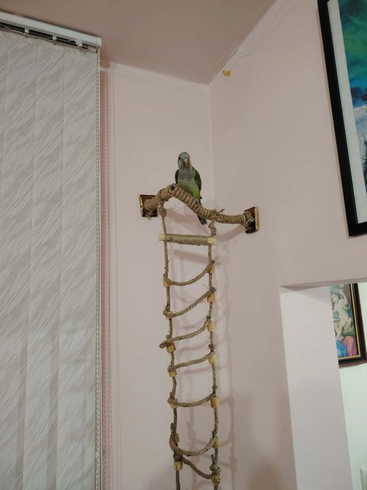 Стойки и кацалки за папагали